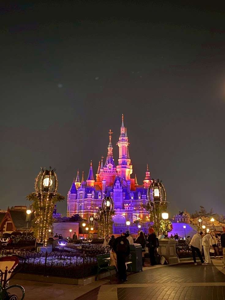 朝から閉園まで詰め込み、上海ディズニーをかなり回れた1日