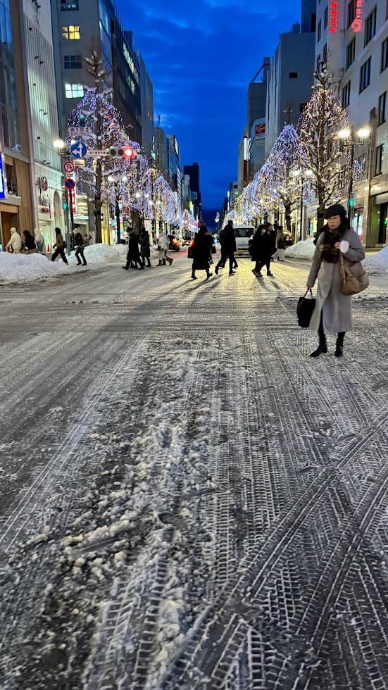 Sapporo Illumination
