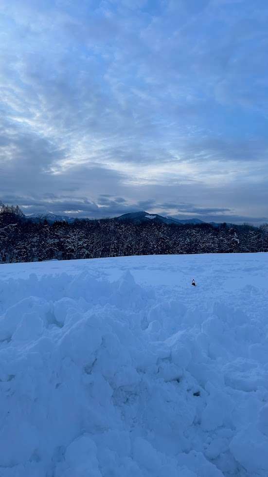 Sapporo Snow