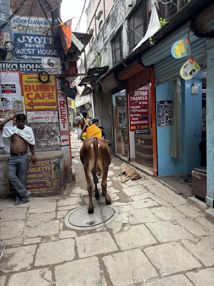 Varanasi Alley 1