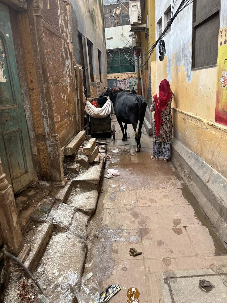 Varanasi Alley 3
