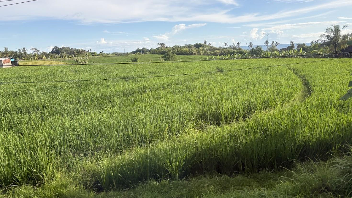 Sisterfieldsの朝と夜行バス、本土へ向かう長い移動