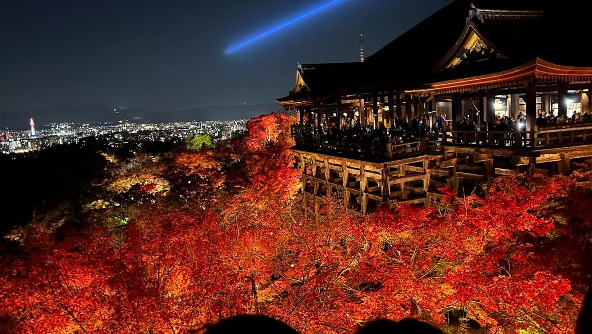 Kiyomizu Temple Autumn Leaves Lightup