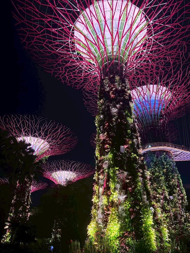 セントーサの風とラオパサの夜、王道を詰め込んだシンガポール