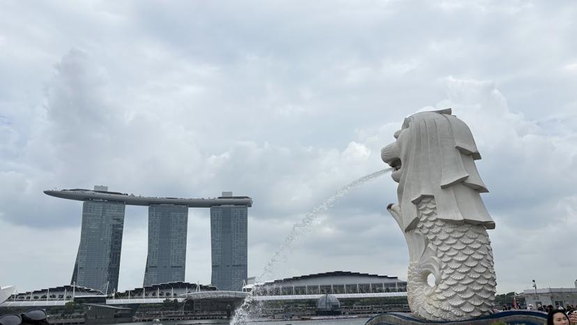 チャンギ空港で液体は持ち込める？搭乗前検査と空ボトル持参のすすめ