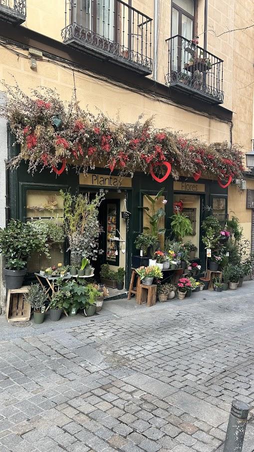 テアトル・レアルからサンタ・エウラリアの途中にある目印の花屋さんの写真