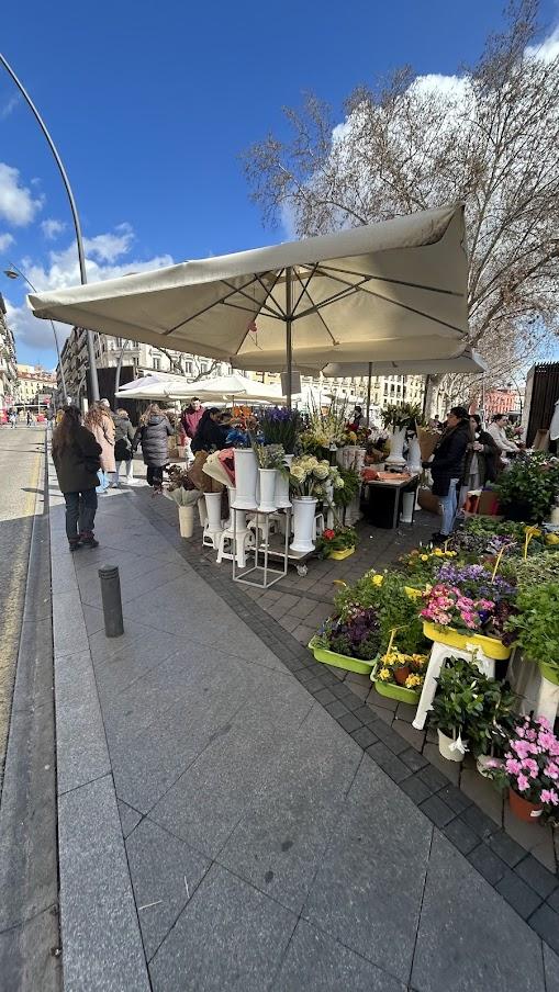 Flower Stalls in Madrid
