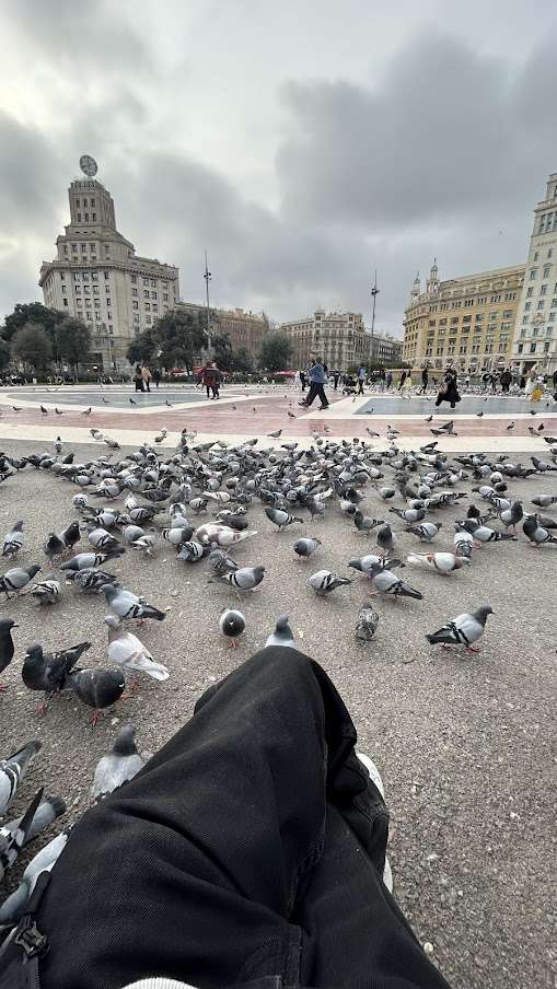 Gathering Doves